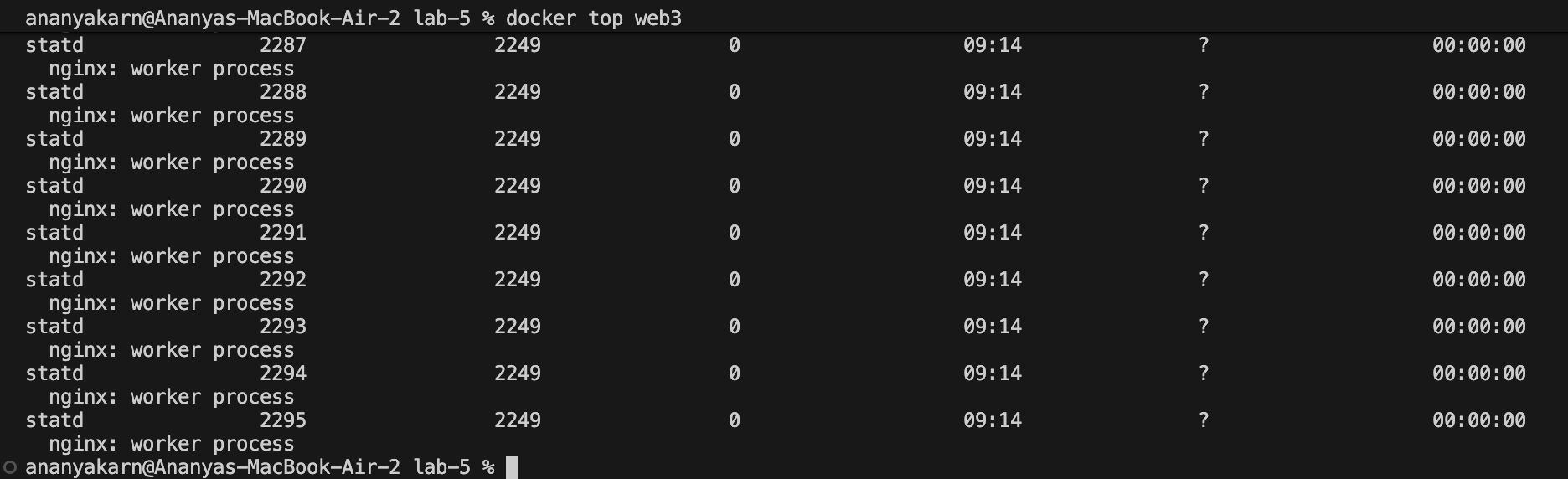 view process inside container