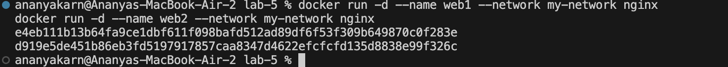 Run containers on custom network
