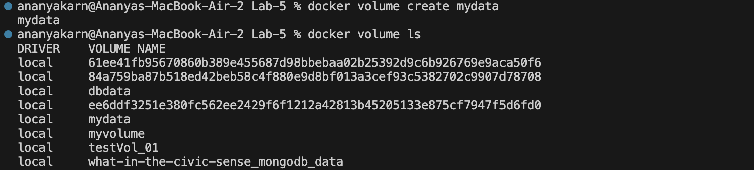 Create a Named Volume