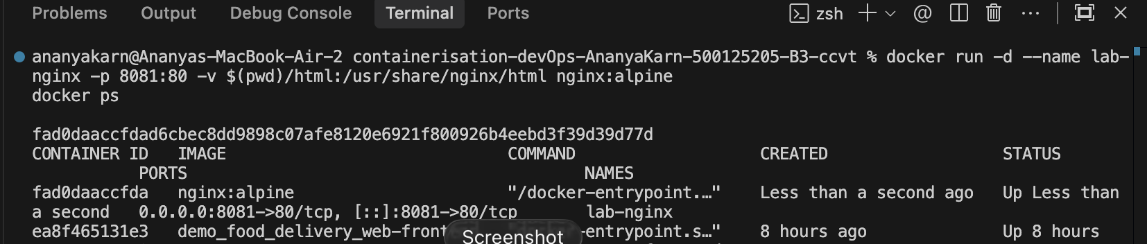 Terminal showing docker run execution and docker ps